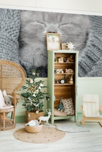 Image de Gray kitten sleep in gray clouth