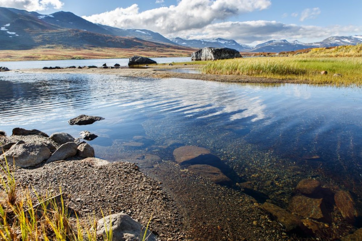 Afbeeldingen van Wildes Lappland - Nordschweden