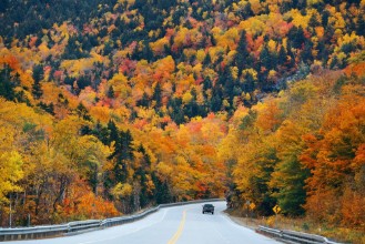 Attēls Highway and Autumn foliage