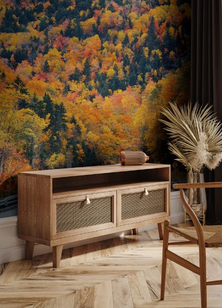 Image de Highway and Autumn foliage