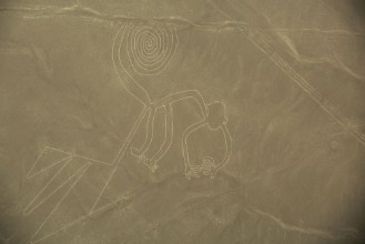 Pilt Nazca Lines  The Monkey