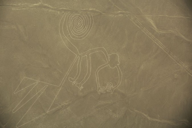 Picture of Nazca Lines  The Monkey