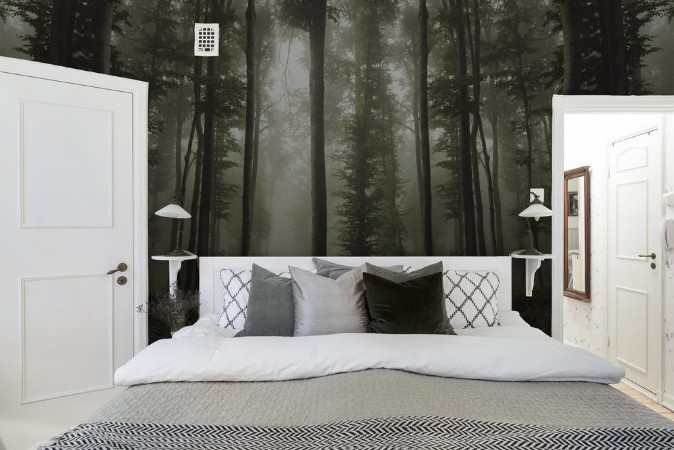 Picture of Green woods in summer