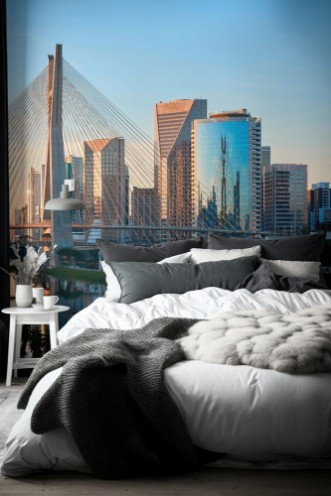 Image de Sao Paulo Estaiada Bridge Brazil