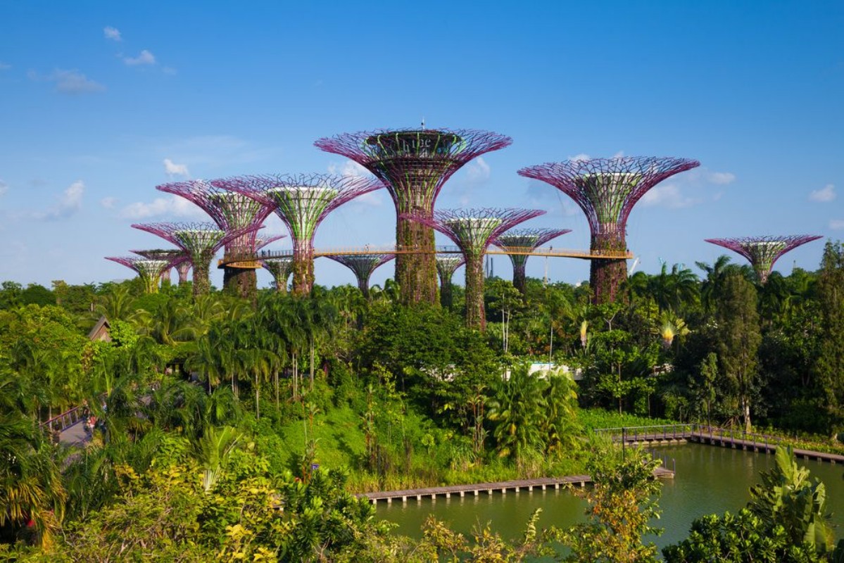 Picture of Daytime view of the Supertree grove at Gardens By The Bay Singa
