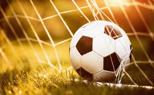 Picture of Soccer ball in goal