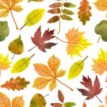 Attēls Illustrated Autumn