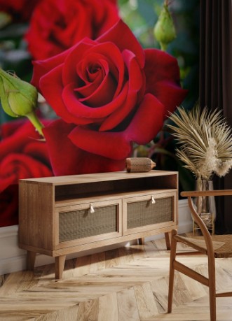 Picture of Large bush of red roses on a background of nature