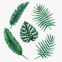 Slika Watercolour Tropical Leaves