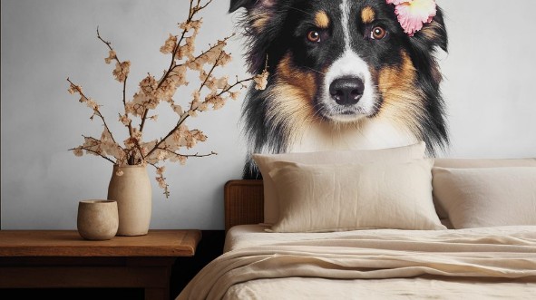 Image de Lustiger Hund mit Blume