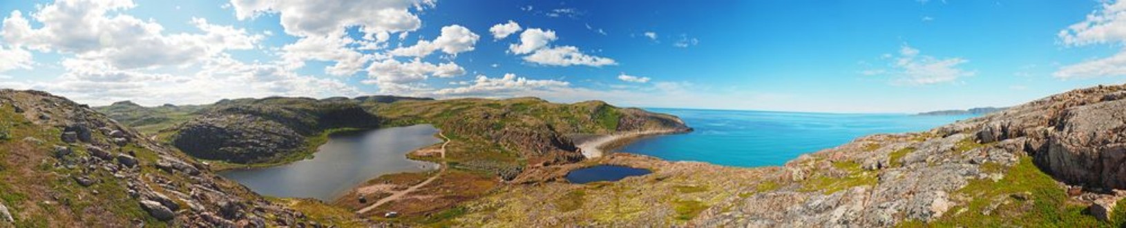 Picture of Tundra in the north of Russia Panorama