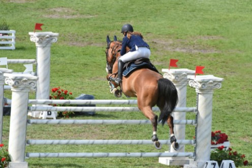 Obrázok z Concours hippique