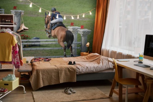 Obrázok z Concours hippique