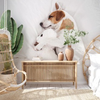 Afbeeldingen van Sleeping dog at bed