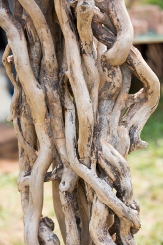 Pilt Twisted branches