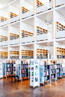 Pilt Book shelves in library