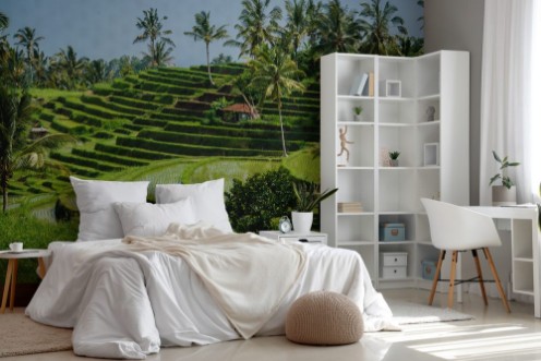 Obrazek Rizires de Bali