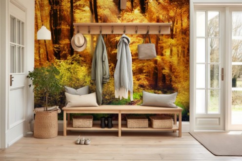 Picture of Seasonal Transition