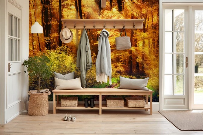 Picture of Seasonal Transition