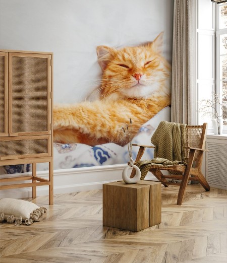 Afbeeldingen van Cute ginger cat lying in bed under a blanket Fluffy pet comfortably settled to sleep Cozy home background with funny pet Flat lay Top view place for text