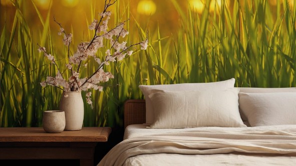 Afbeeldingen van Green grass background