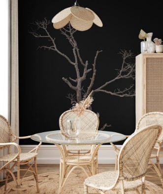 Picture of Dead tree on black background