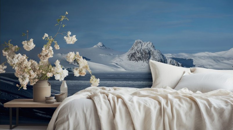 Picture of Snedækkede bjerge