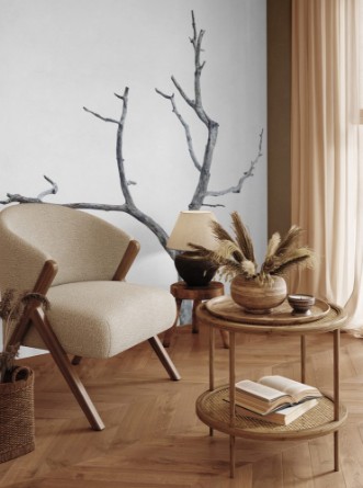 Afbeeldingen van Single old and dead tree isolated on white background This has clipping path