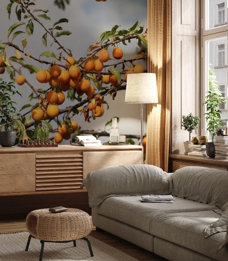 Picture of Mirabellen  Pflaumen