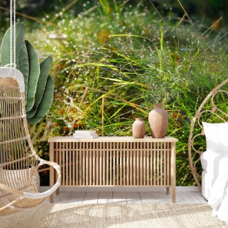 Image de Fresh grass with dew drops