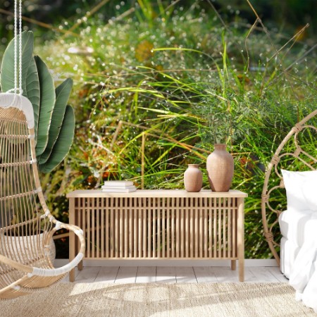 Picture of Fresh grass with dew drops