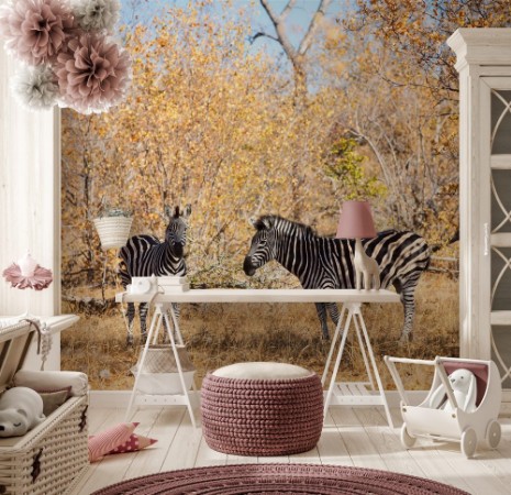 Image de Zebras in safari park