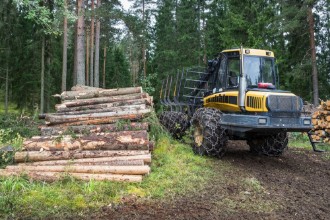 Imagem de Forestry in Finland