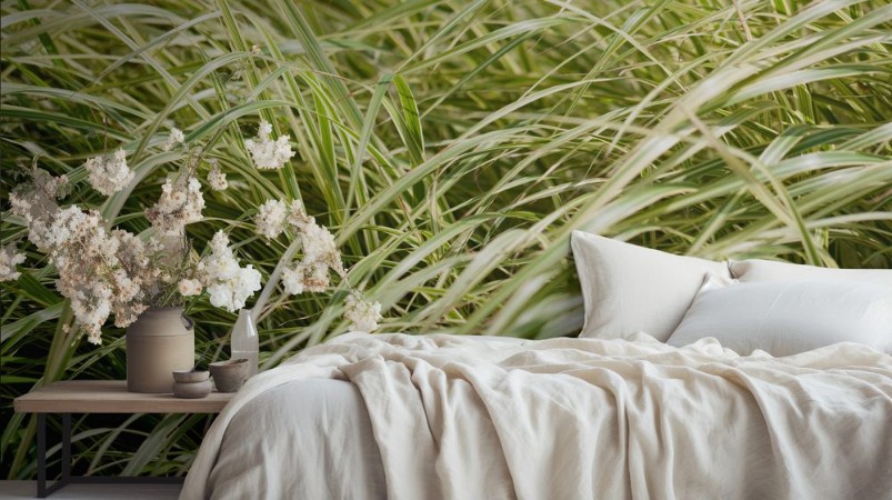 Picture of A meadow full of green tall grass