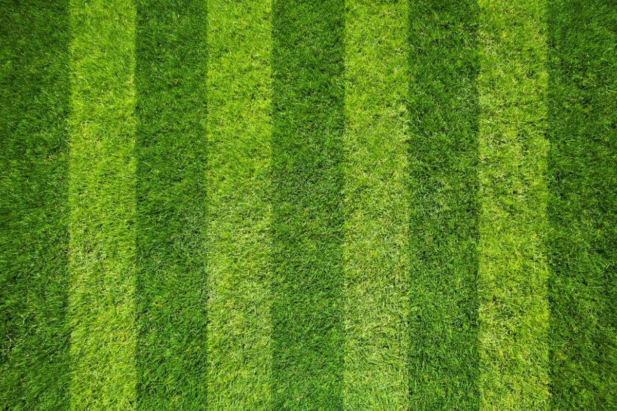 Picture of Stripy Pitch