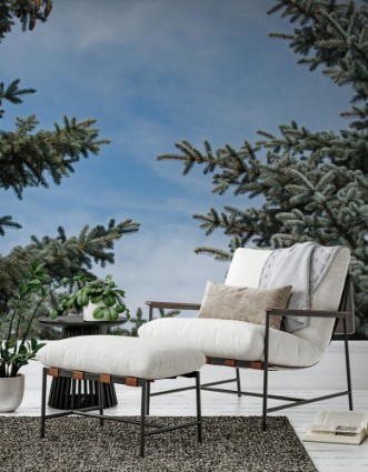 Image de Spruce branches form a beautiful frame