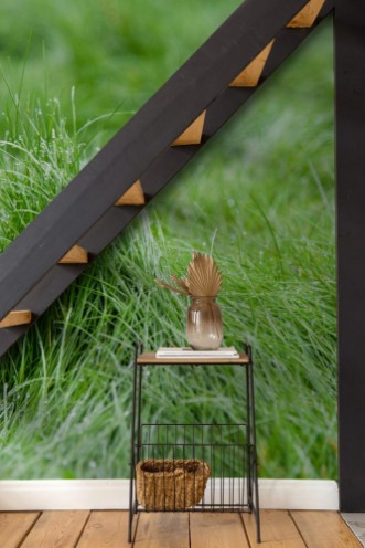 Afbeeldingen van Green grass blurred background