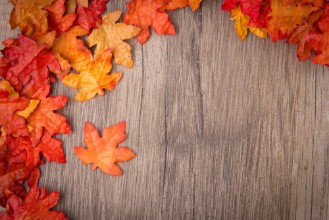 Afbeeldingen van Back to the Root