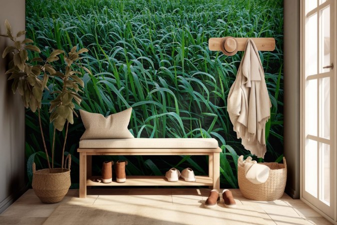 Picture of Green Reeds