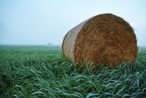 Picture of Hazy Haybale