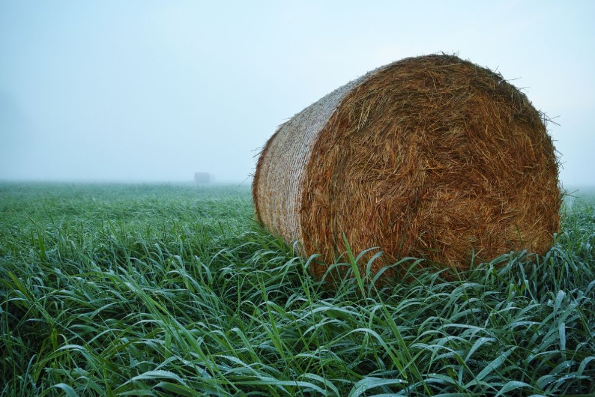 Afbeeldingen van Hazy Haybale