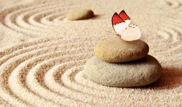 Pilt Butterfly on a zen stone