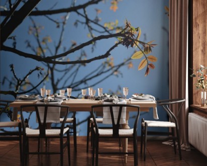 Picture of Branches and young leaves structure in springtime at back light