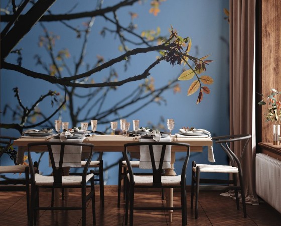 Picture of Branches and young leaves structure in springtime at back light