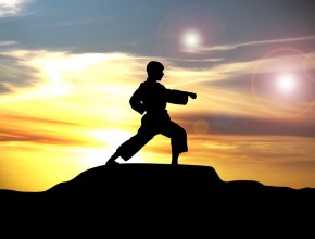 Bild von Karate - 91