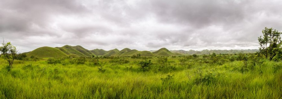 Picture of Panorama of african hills in Congo Mountain of the Moon