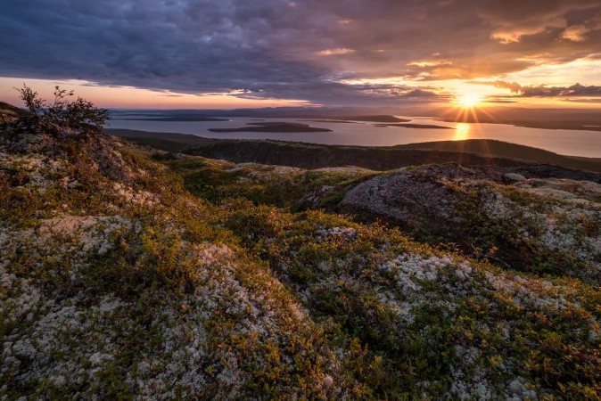 Afbeeldingen van Moss lichen and other mountain tundra plants in autumn colors growing by the slopes of Hibinpahkchorr mountain In background sun setting above lake Large Imandra Russia Hibiny
