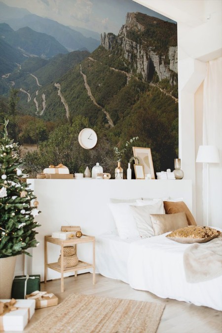 Afbeeldingen van La route du col du Rousset