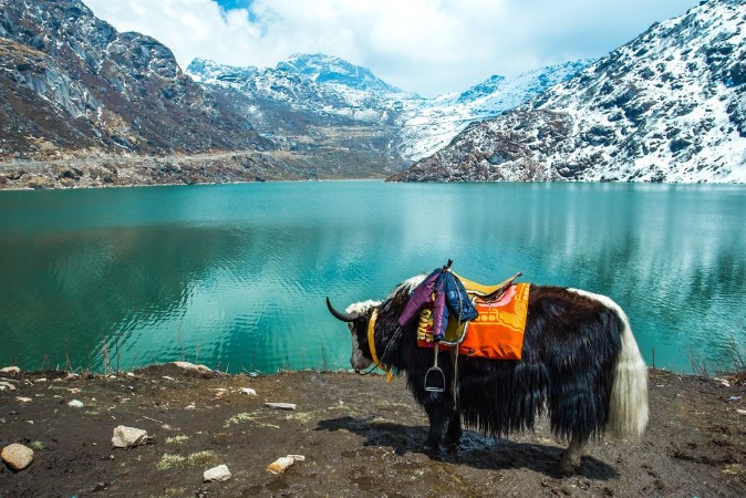 Attēls Tsangmo Lake in Sikkim India
