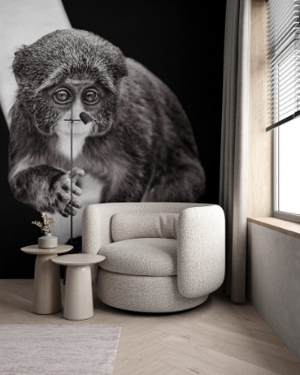 Afbeeldingen van Baby De Brazzas Monkey VII